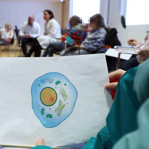 Die Kinder sitzen im Stuhlkreis, im Vordergrund ist eine Abbildung mit einer menschlichen Zelle zu sehen