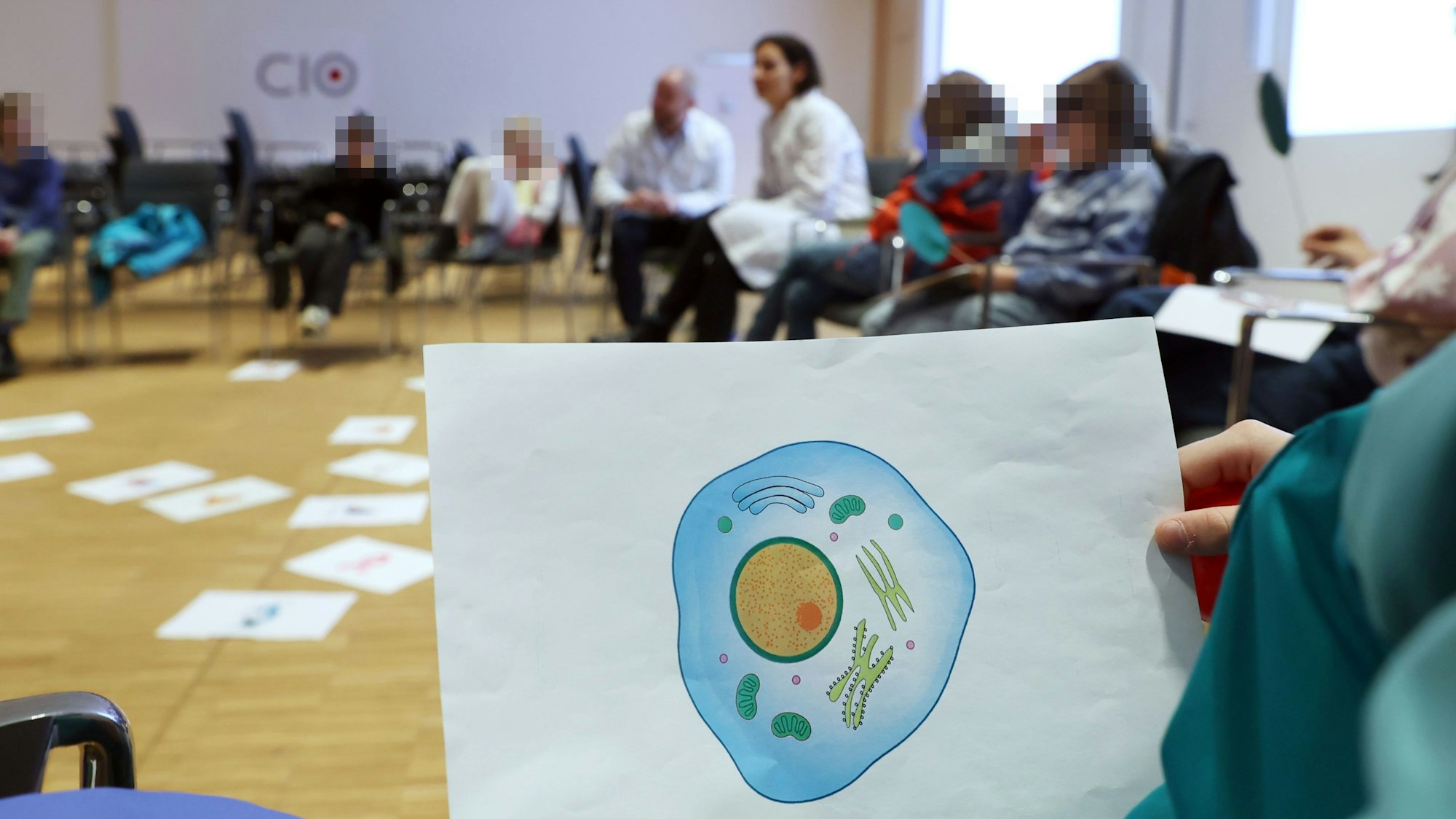 Die Kinder sitzen im Stuhlkreis, im Vordergrund ist eine Abbildung mit einer menschlichen Zelle zu sehen