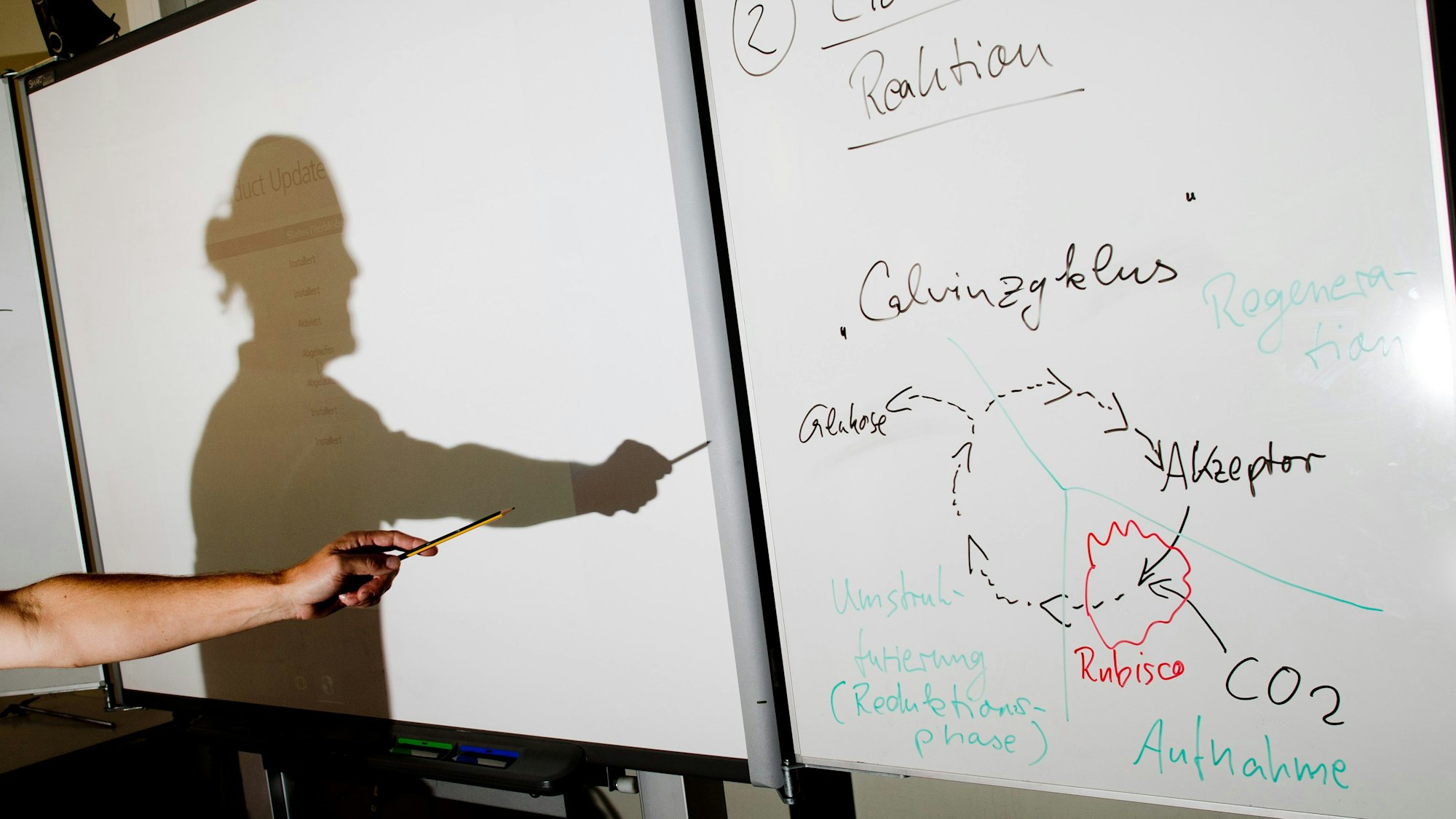 Ein Lehrer wirft einen Schatten auf ein Smartboard im Biologie-Leistungskurs einer integrierten Gesamtschule.