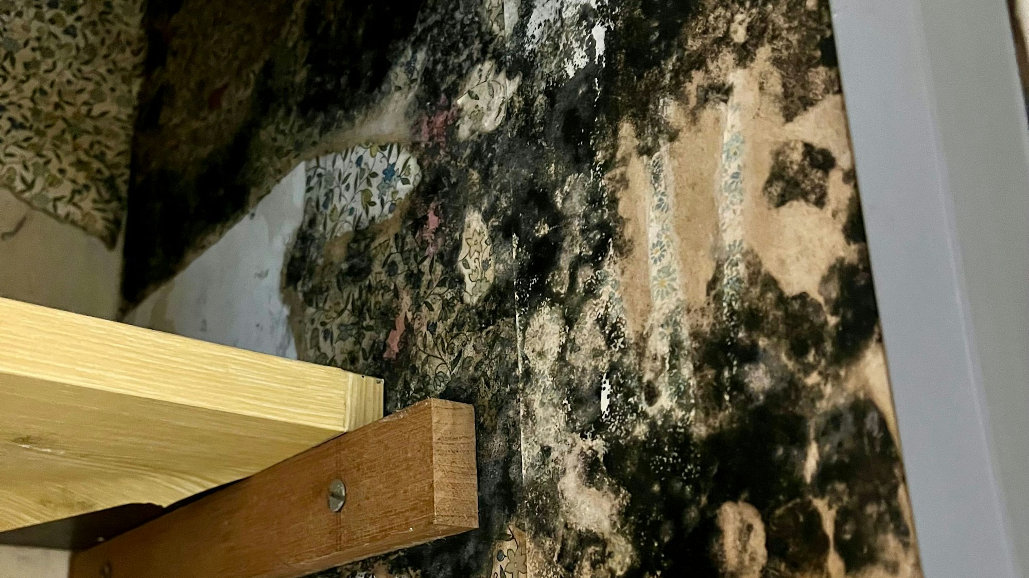 Seit Monaten wird der Schimmel in einer LEG Wohnung nicht beseitigt.