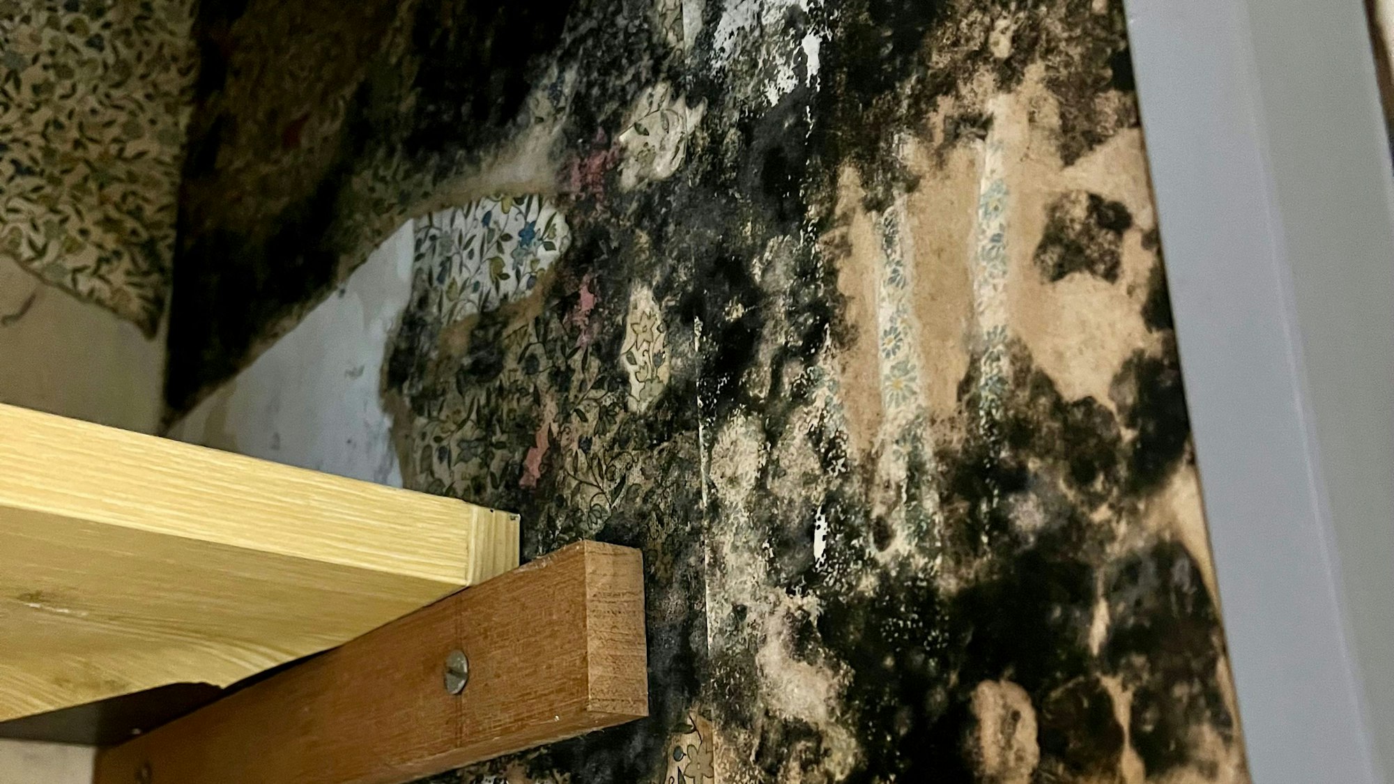 Seit Monaten wird der Schimmel in einer LEG Wohnung nicht beseitigt.