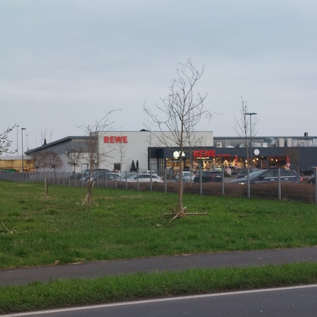 Ein Rewe-Supermarkt mit parkenden Autos. Links angrenzend an das Grundstück eine Wiese mit einigen Bäumen.