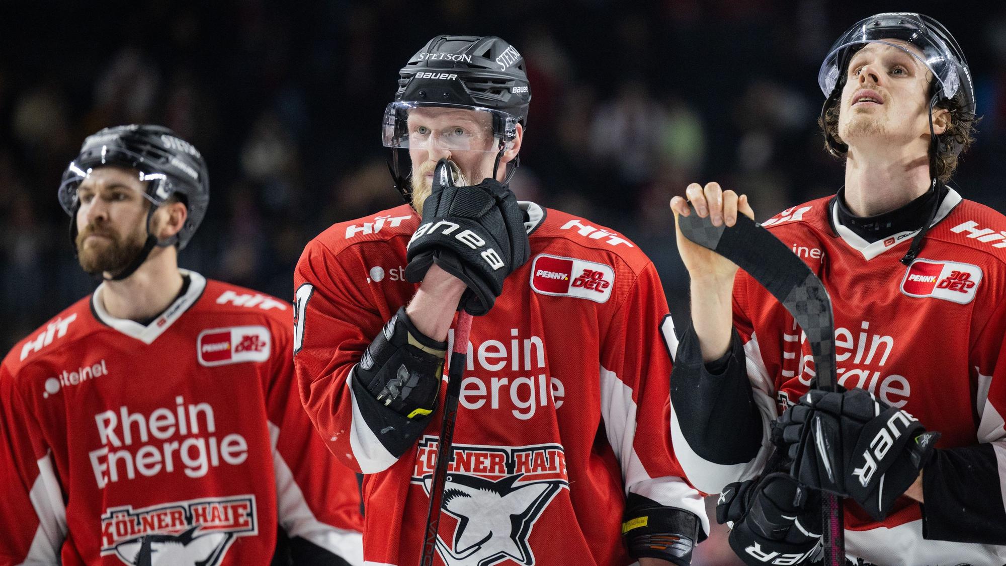 Eishockey: DEL, Kölner Haie - Adler Mannheim, Hauptrunde, 52. Spieltag, Lanxess Arena. Die Kölner um Stanislav Dietz (M) stehen nach dem 1:6 auf dem Eis.