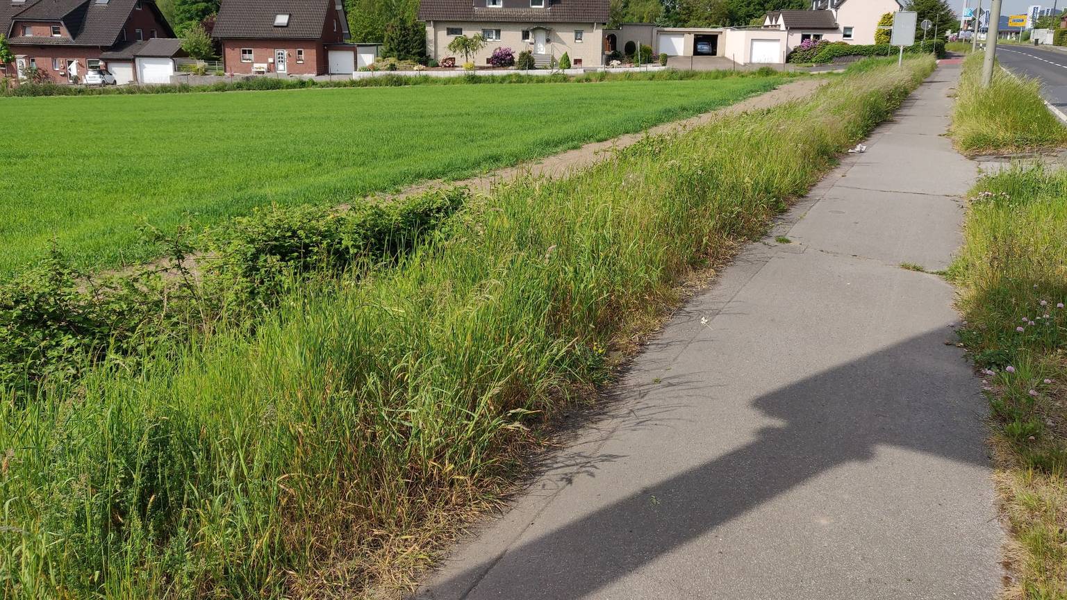Das potenzielle Wohnbaugebiet zwischen der Reusrather Straße (rechts) und Am Rombergsweiher.