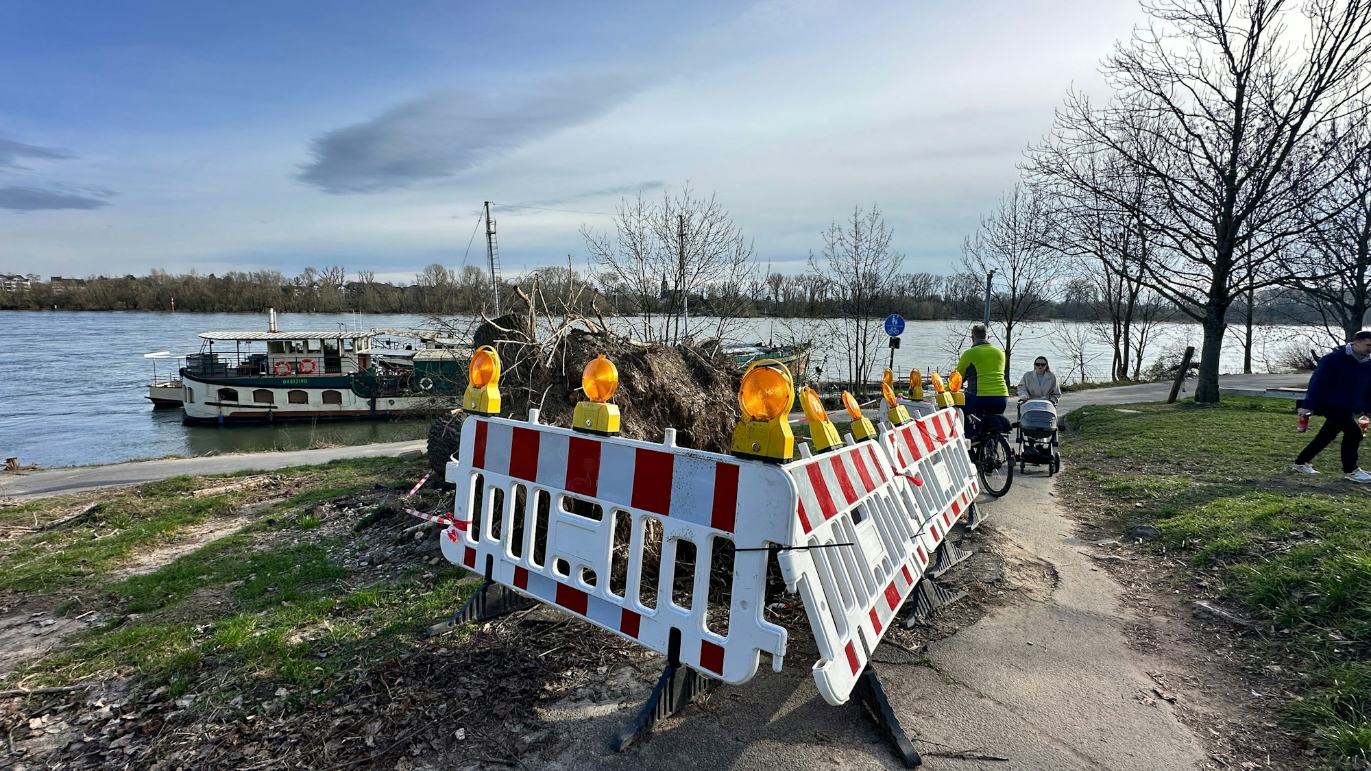 Ein Baumstumpf ist von Baken umstellt, dahinter ist der Rhein zu sehen.