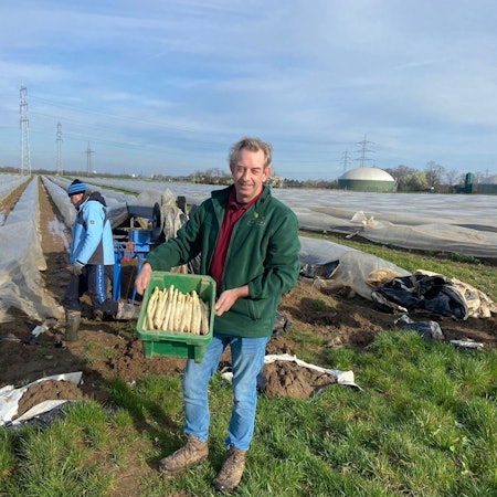 Ein Mann zeigt frisch geernteten Spargel auf einem Feld.