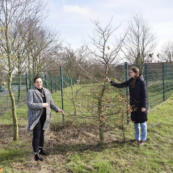 Juliane B. Vetter und Julia Drittler stehen mit einem Baum in der Hand vor einem grünen Zaun.
