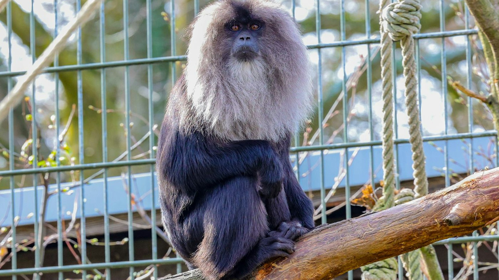 Die Neuzugänge leben noch für sich in einem Bereich.