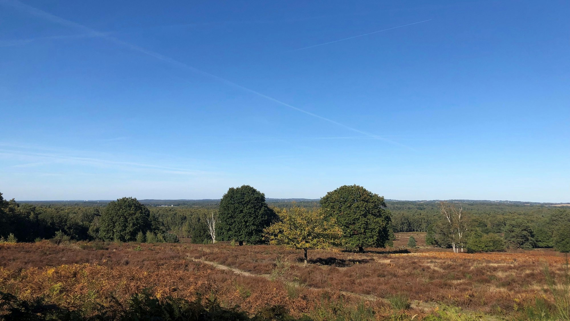 Wahner Heide: Aussicht vom Telegraphenberg