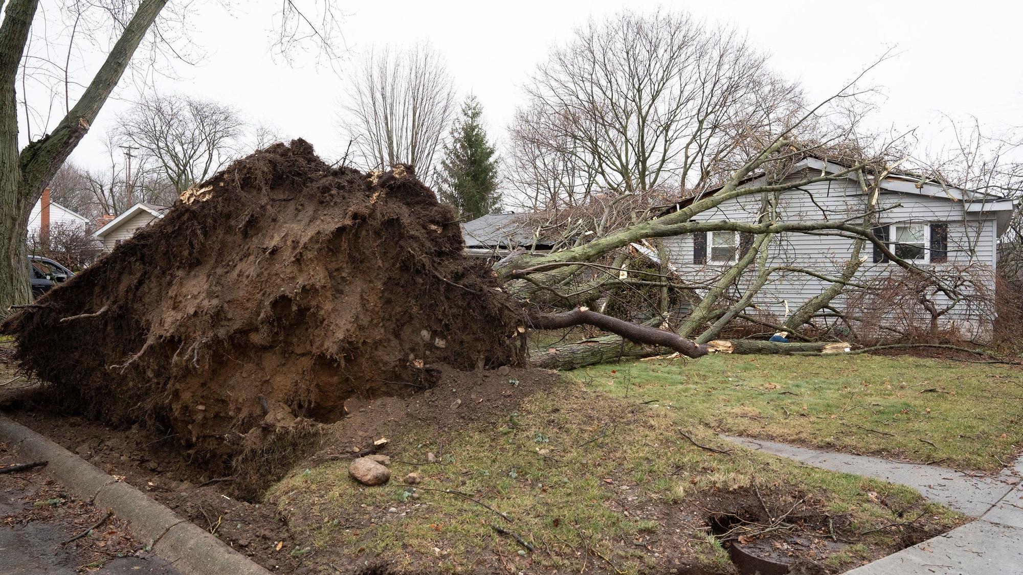 Ein entwurzelter Baum liegt vor einem Haus im US-Bundesstaat Michigan.