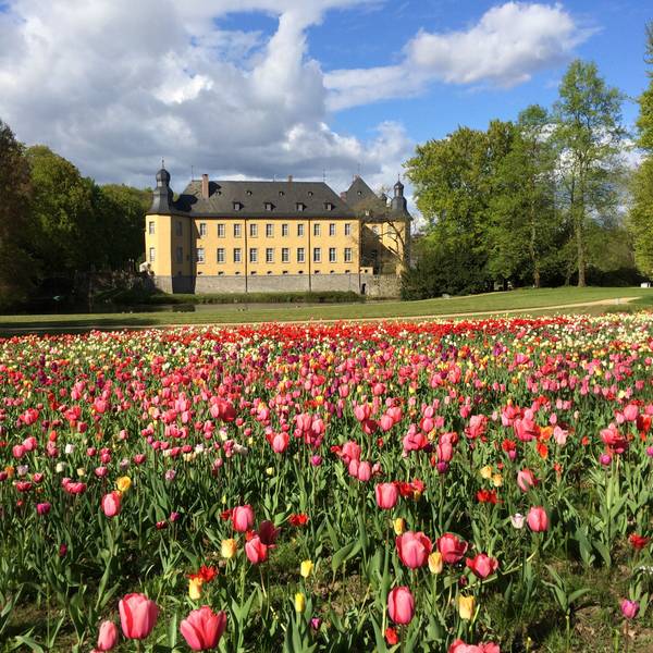 Frühling auf Schloss Dyck mit Blumenmeer im Schlossgarten. (Archivbild)