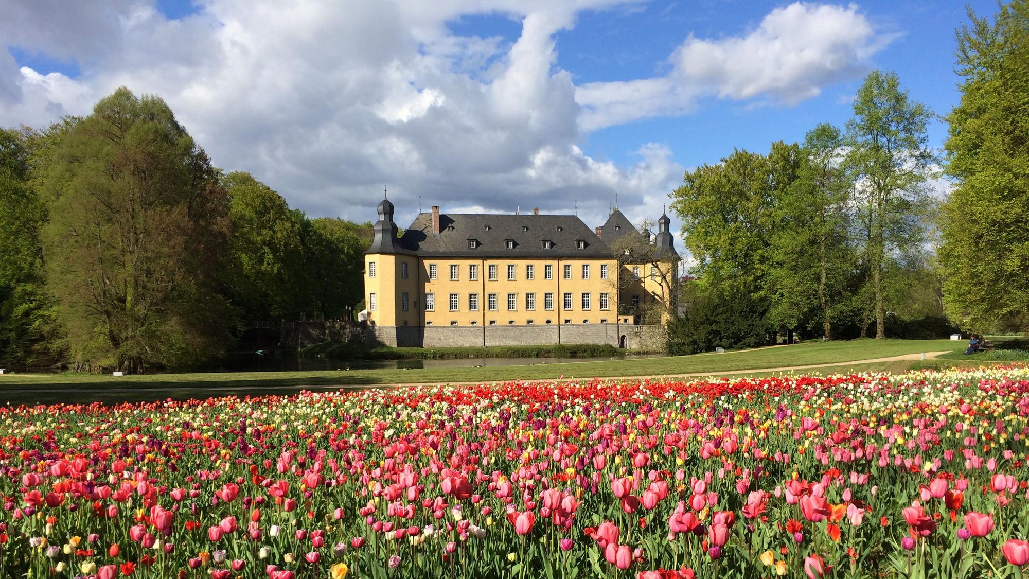 Frühling auf Schloss Dyck mit Blumenmeer im Schlossgarten. (Archivbild)