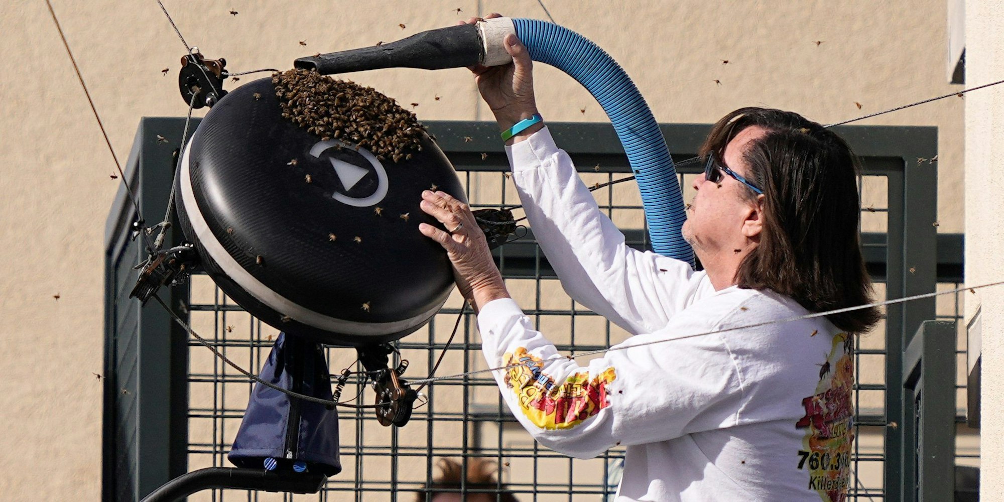 Bienen umschwirren eine Kamera während des Spiels.