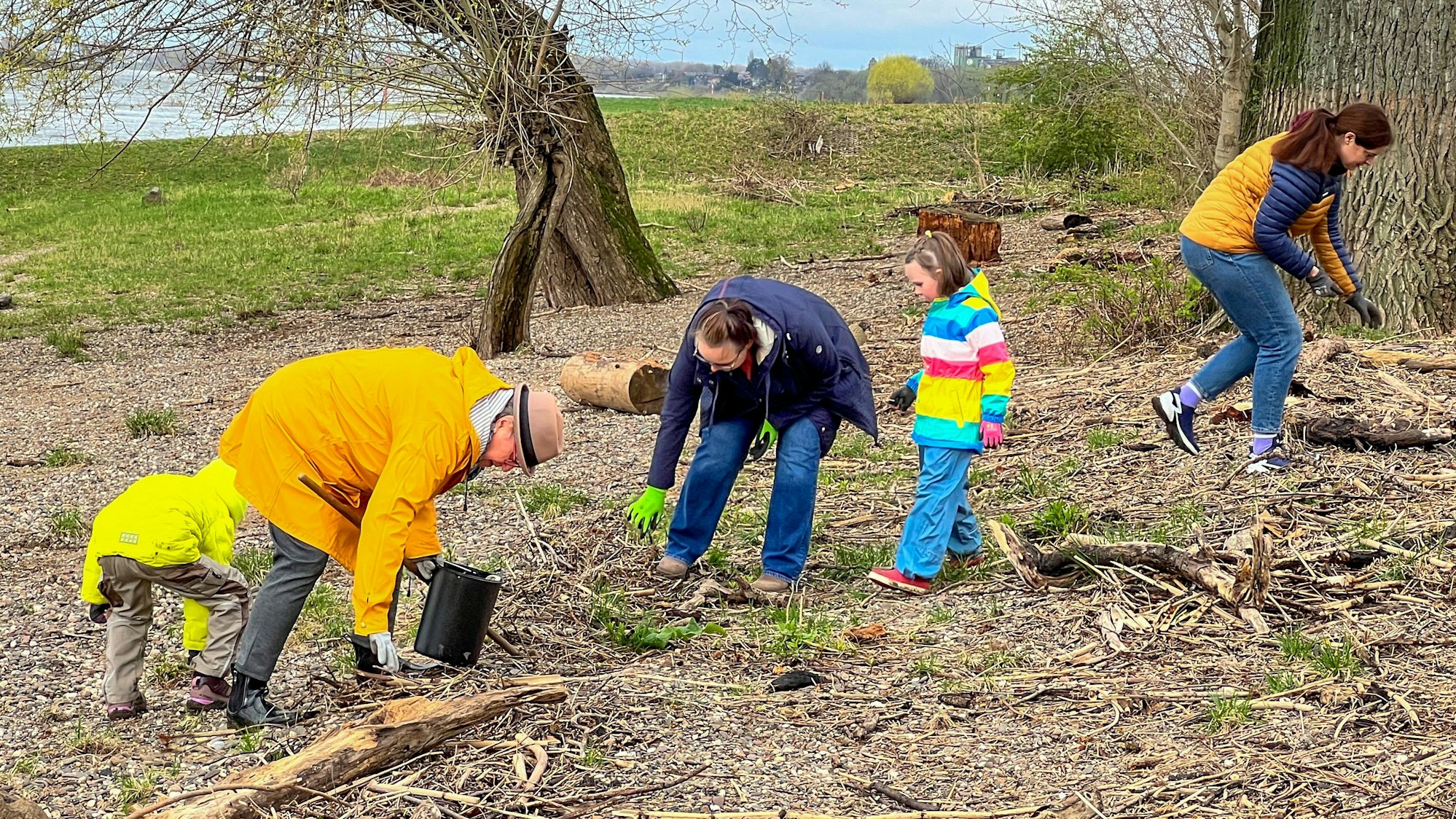 Drei Erwachsene und zwei Kinder sammeln Müll am Rheinufer in Hitdorf.
