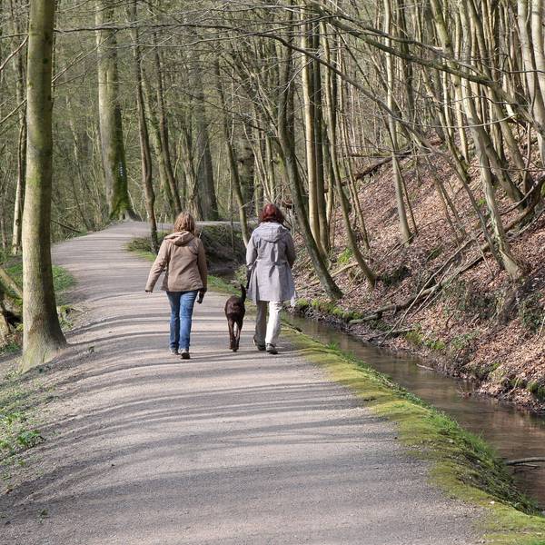 Das Foto zeigt den Strundeweg in Bergisch Gladbach