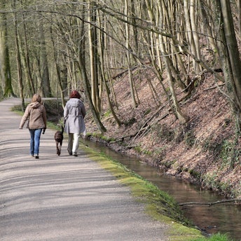 Das Foto zeigt den Strundeweg in Bergisch Gladbach