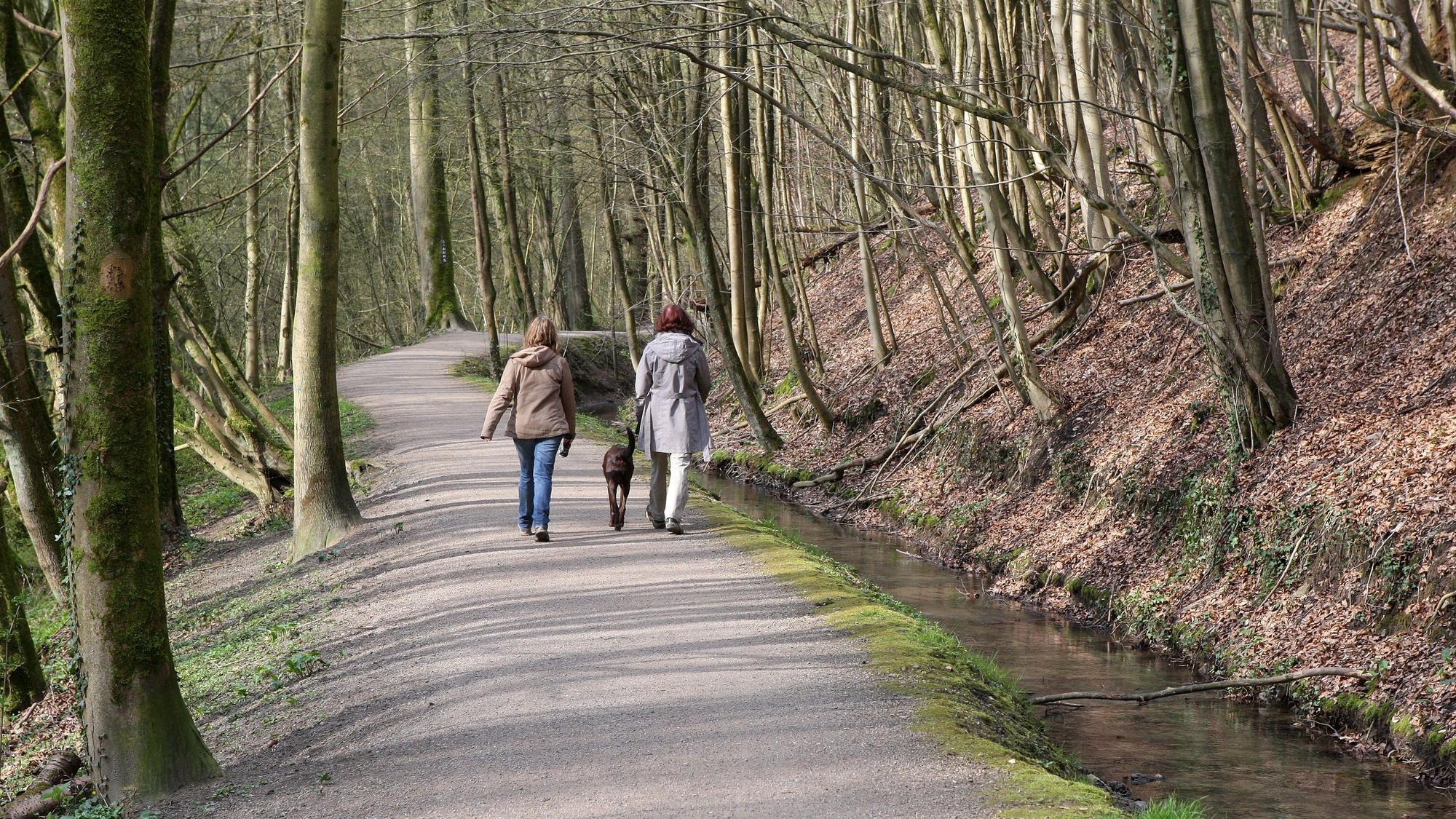 Spaziergängerinnen gehen auf dem Strundeweg im Strundetal bei Bergisch Gladbach.
