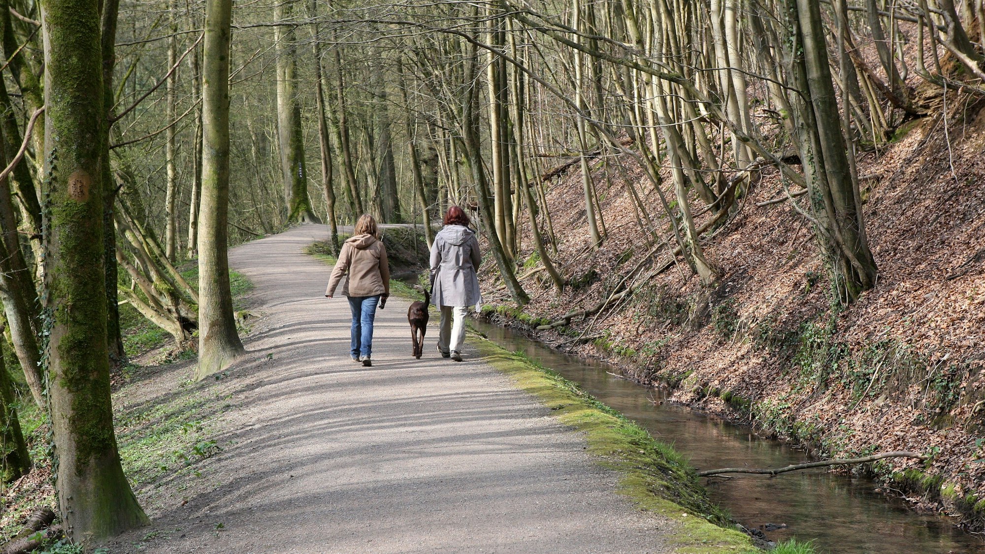 Spaziergängerinnen gehen auf dem Strundeweg im Strundetal bei Bergisch Gladbach.
