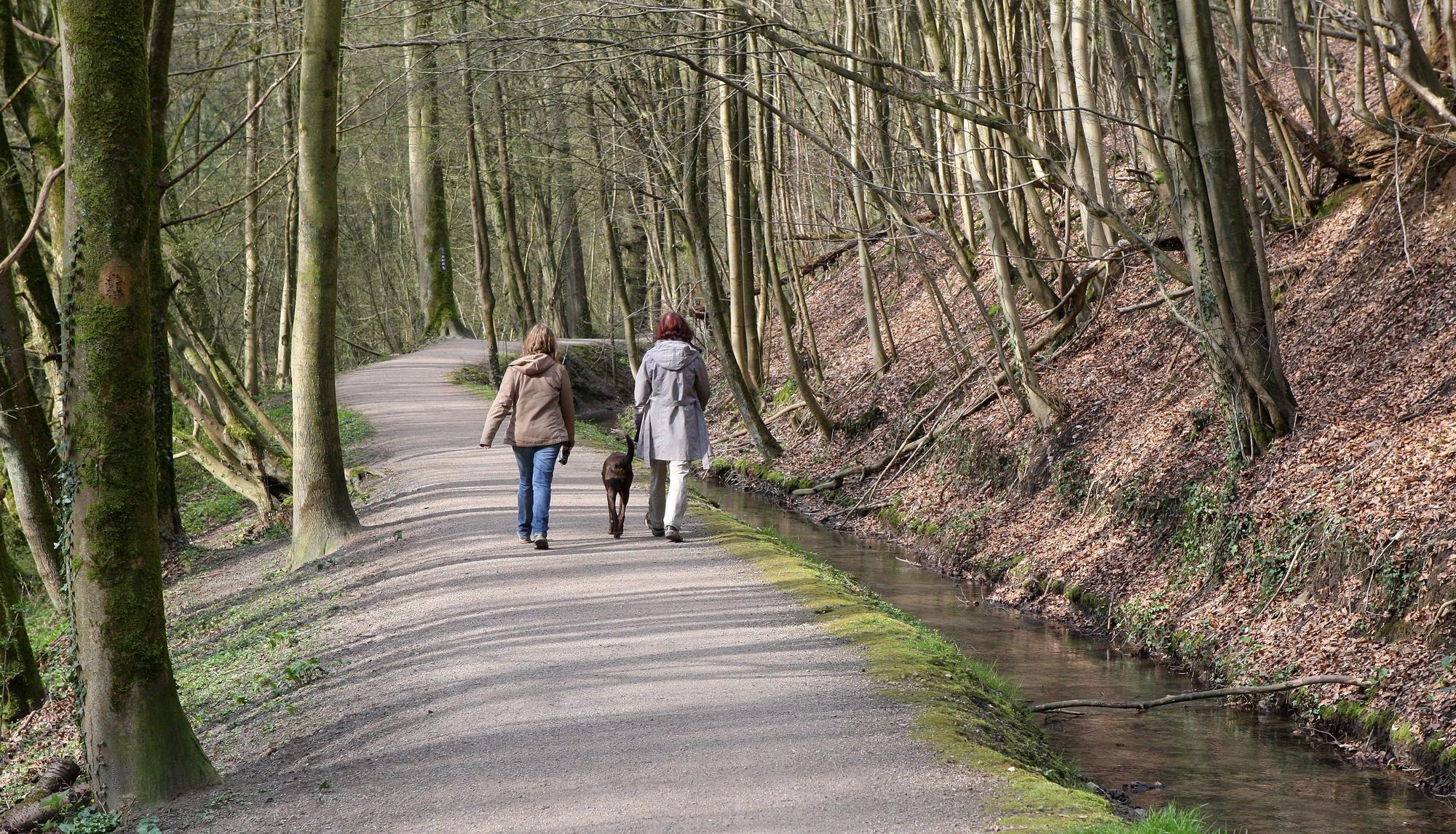 Das Foto zeigt den Strundeweg in Bergisch Gladbach