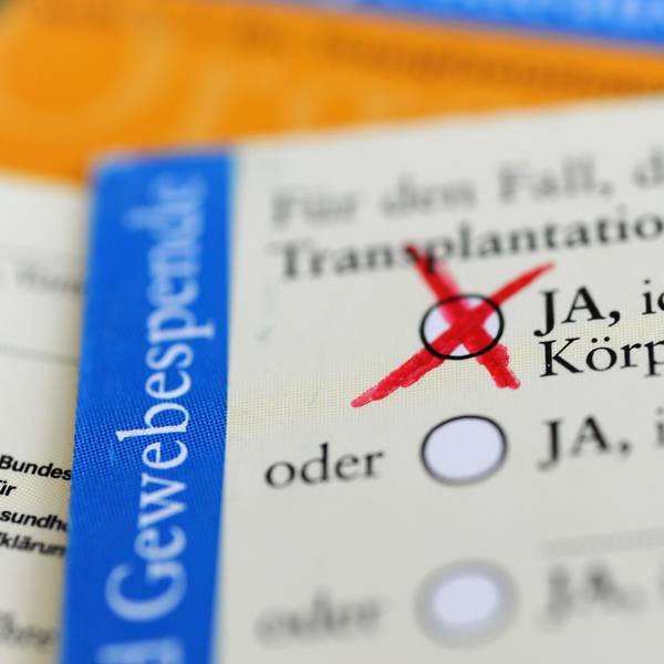 Die Rückseite eines ausgefüllten Organspendeausweises. Das Zustimmungsfeld ist angekreuzt.