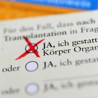 Die Rückseite eines ausgefüllten Organspendeausweises. Das Zustimmungsfeld ist angekreuzt.