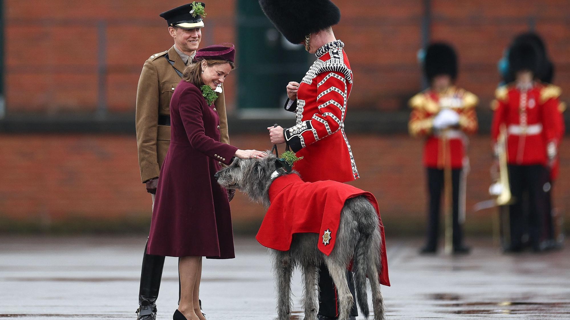 Lady Ghika begrüßt das Maskottchen der Irish Guards, den irischen Wolfshund Seamus.