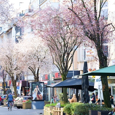Die Deutzer Freiheit könnte in Zukunft wieder autofrei sein.