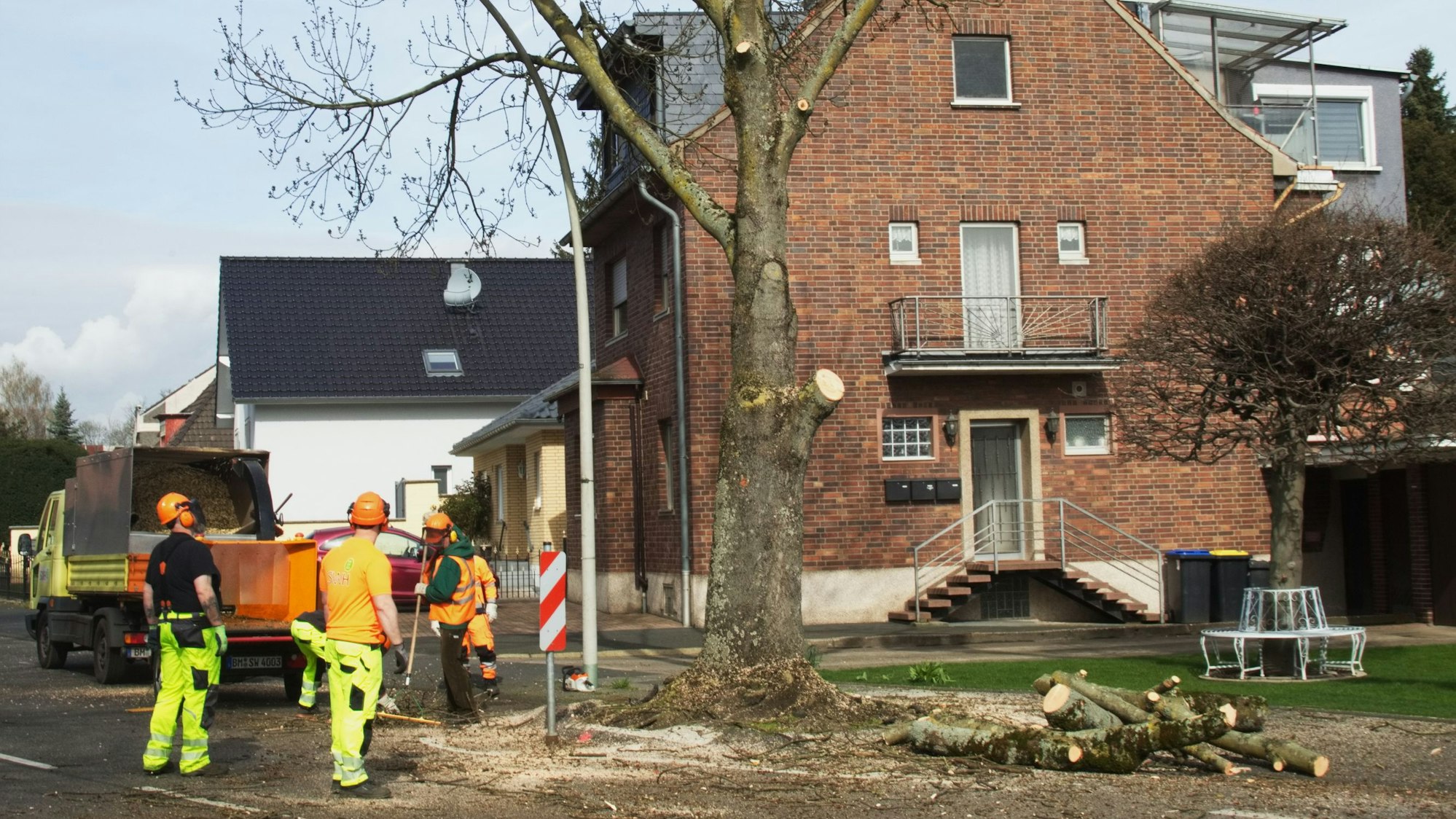 Auf dem Foto sind Fällarbeiten an der Bachemer Straße in Hürth zu sehen.