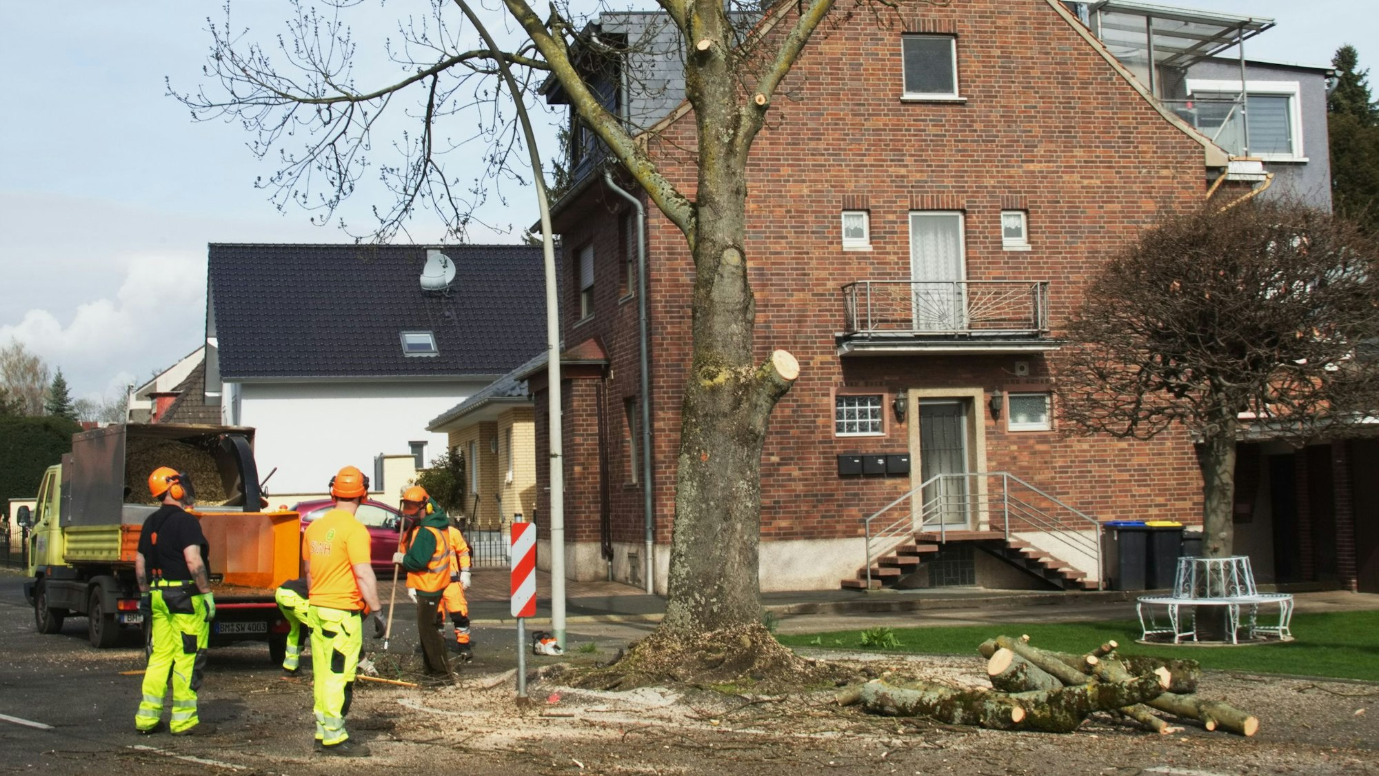 Auf dem Foto sind Fällarbeiten an der Bachemer Straße in Hürth zu sehen.