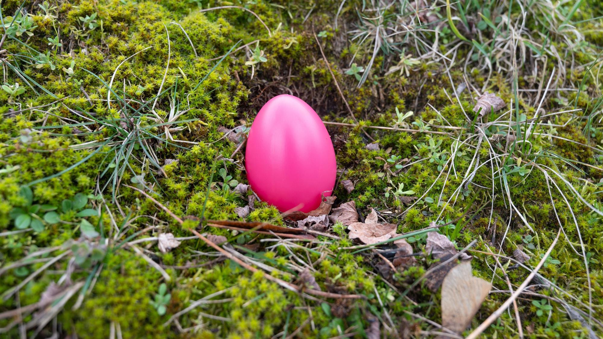 Ein einsames Osterei liegt auf dem Waldboden. Symbolbild