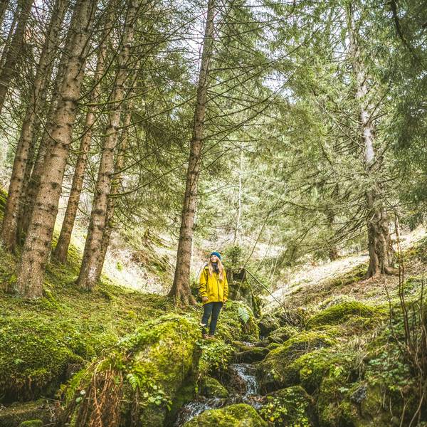 Frau steht im Wald, umringt von Bäumen und Moos am Bach.