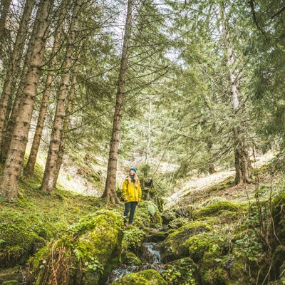 Frau steht im Wald, umringt von Bäumen und Moos am Bach.