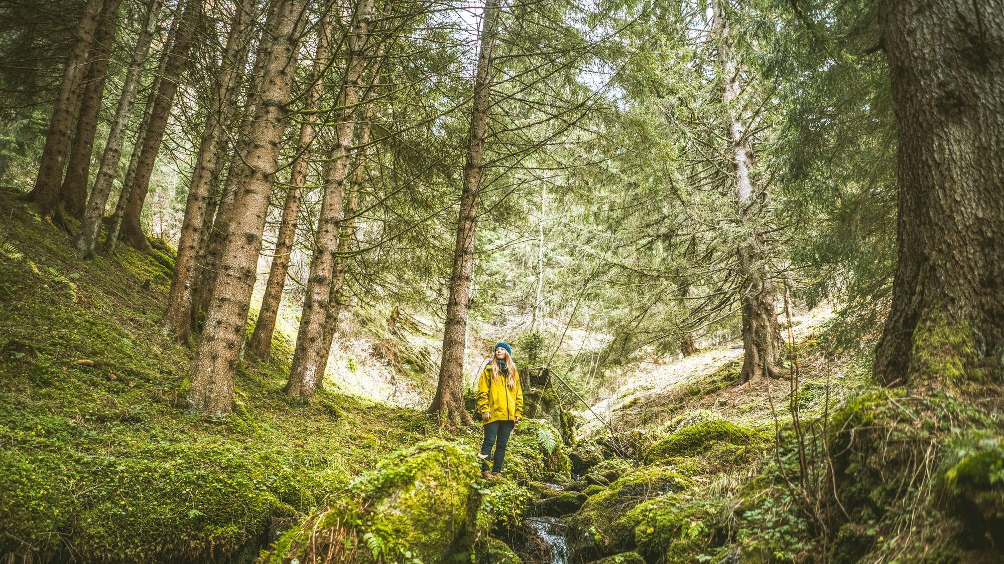 Frau steht im Wald, umringt von Bäumen und Moos am Bach.