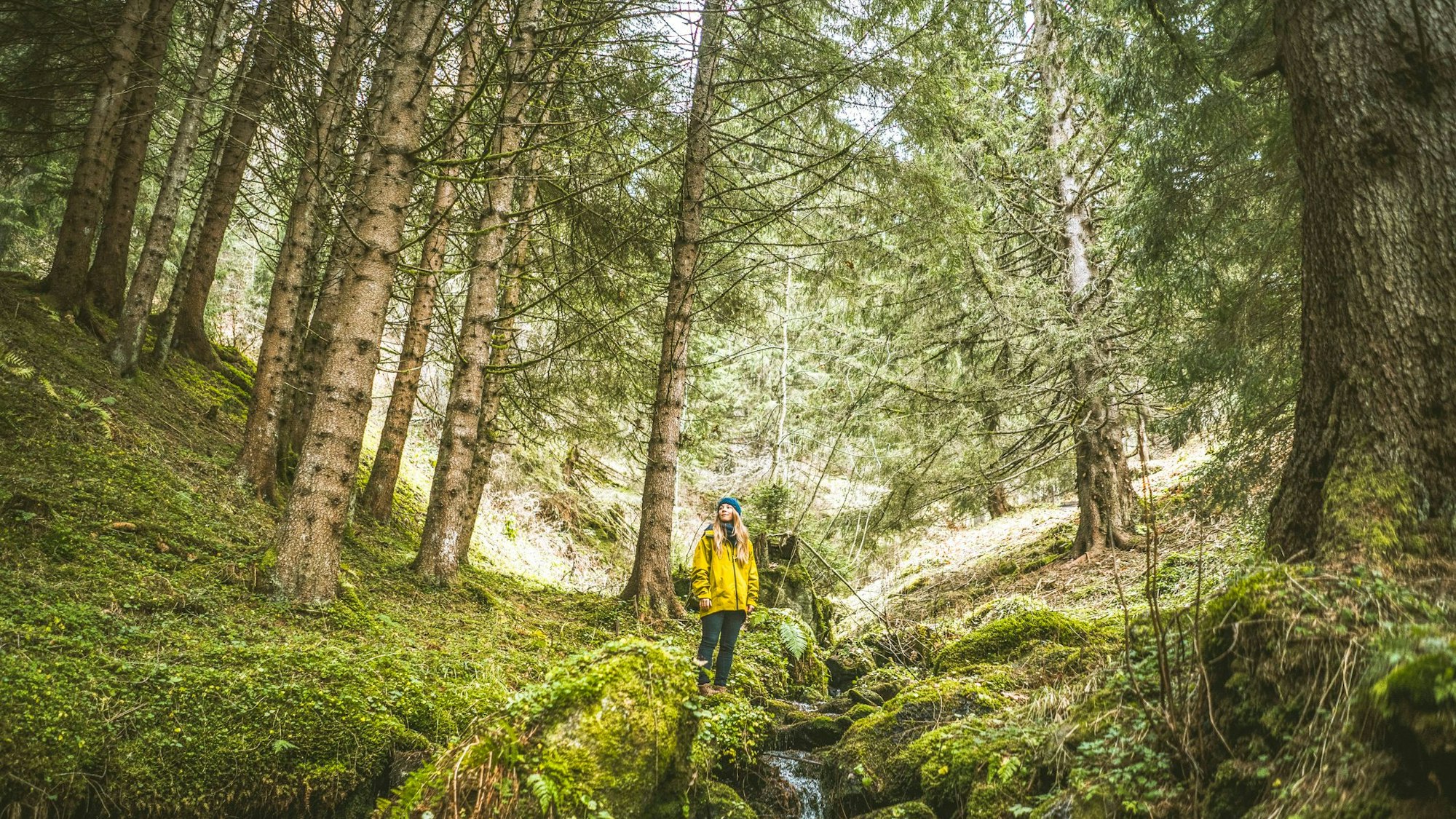 Frau steht im Wald, umringt von Bäumen und Moos am Bach.
