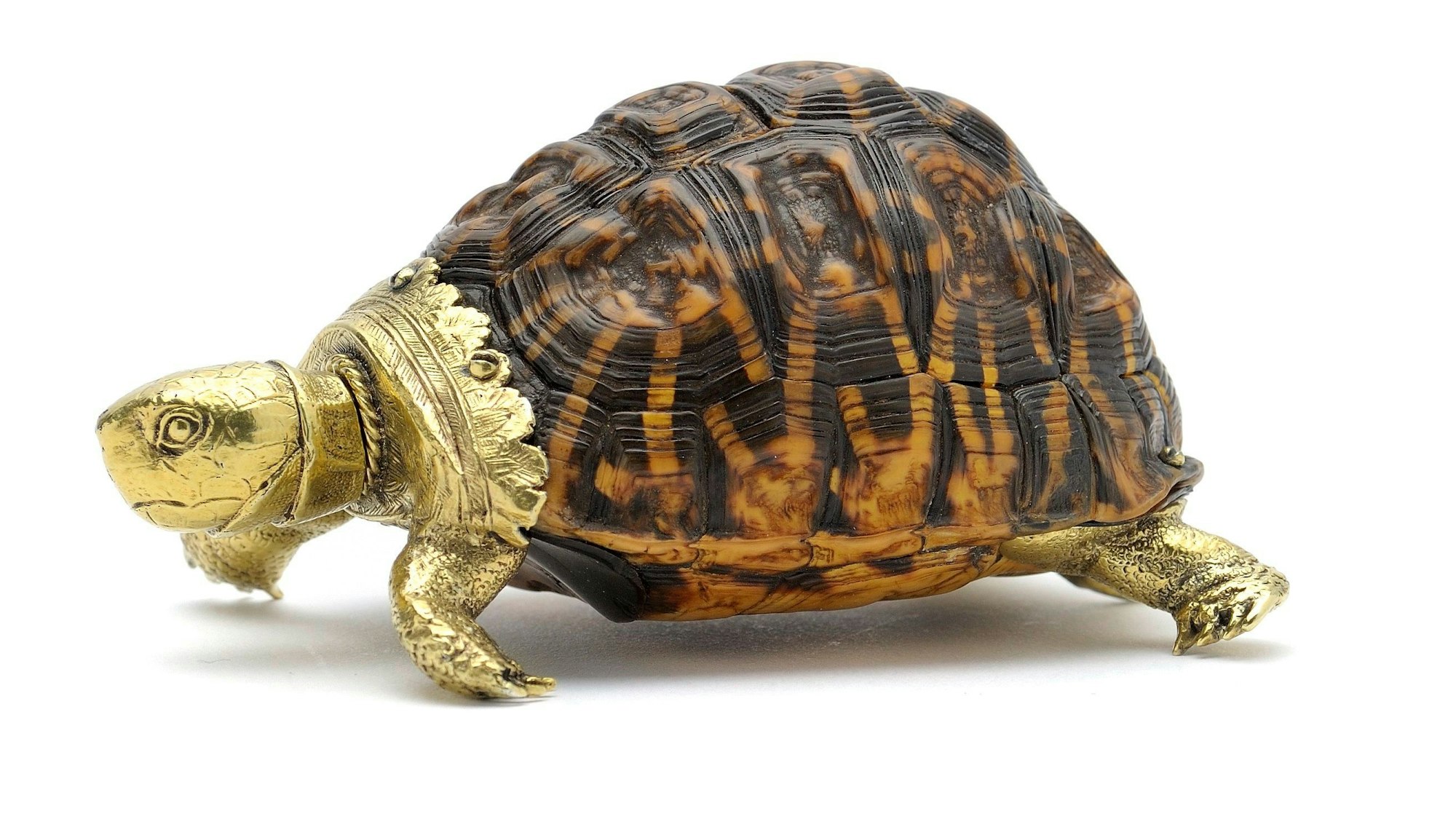 Eine vergoldete Schildkröte aus Silber trägt einen echten Schildkrötenpanzer.