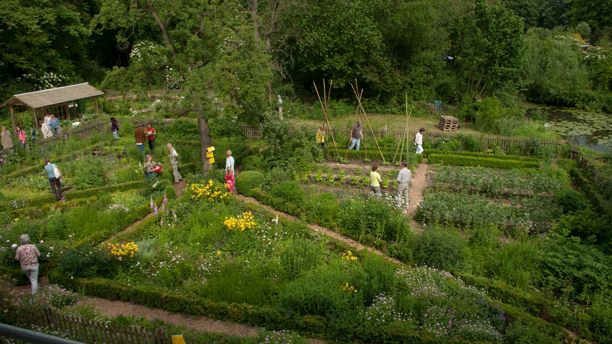 Mehrere Personen arbeiten in den angelegten Blumenbeeten auf dem von der Volkshochschule Köln genutzten Gelände in Dellbrück.