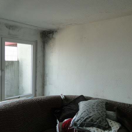 Schimmel an den Wänden in einer Wohnung