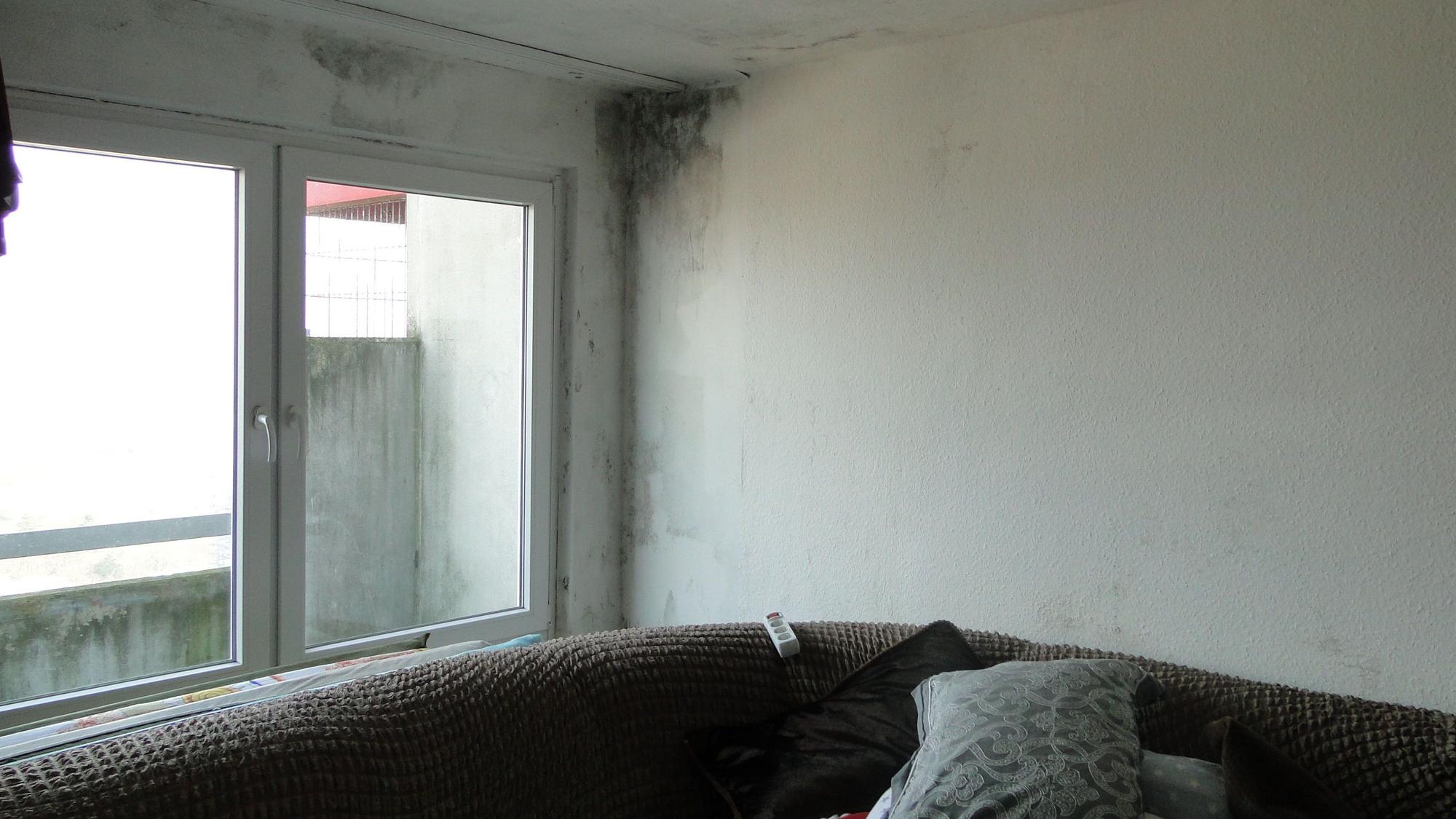 Schimmel an den Wänden in einer Wohnung
