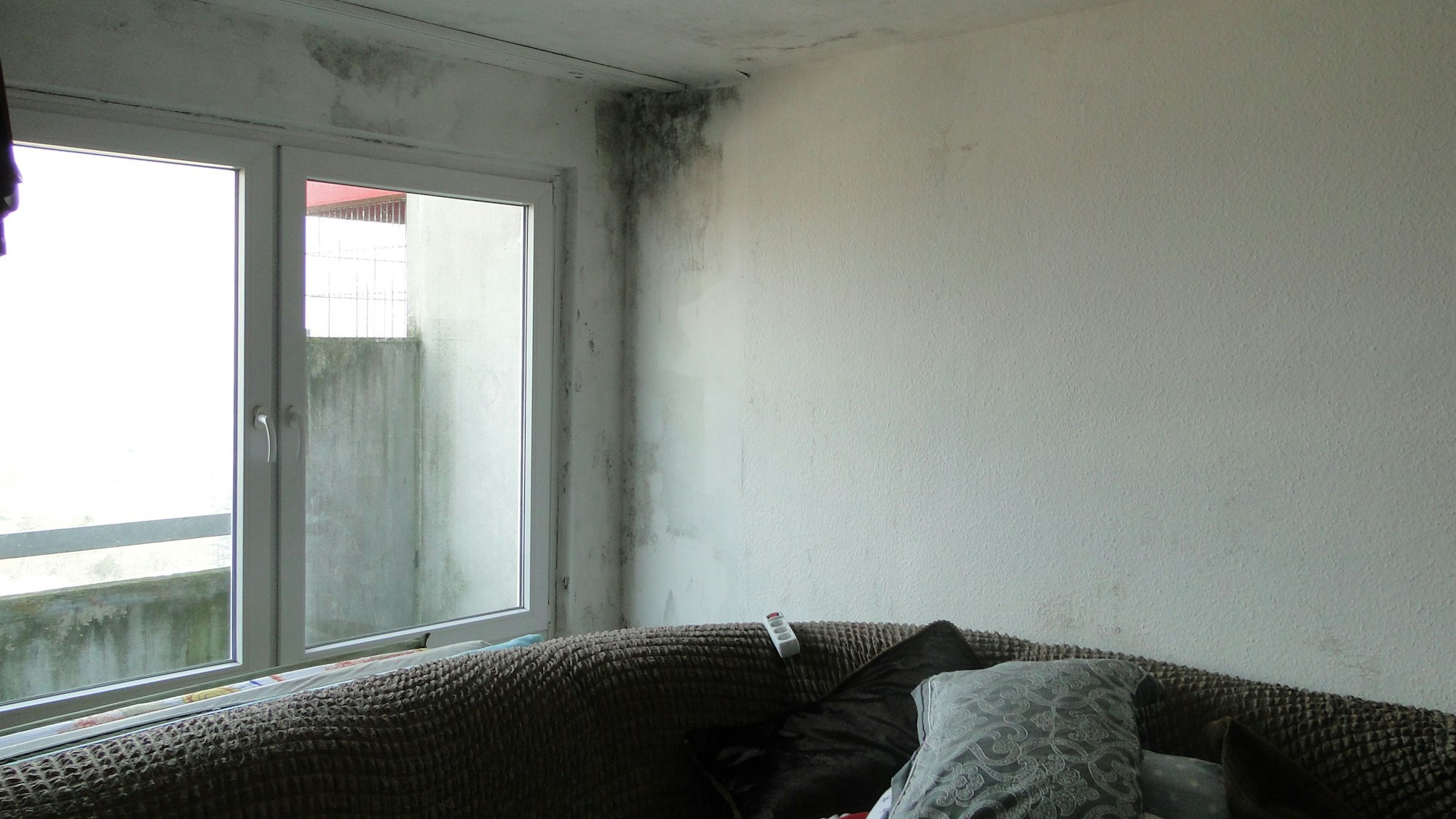 Schimmel an den Wänden in einer Wohnung