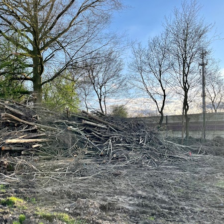 Hoher Stapel abgeschlagener Baumstämme.