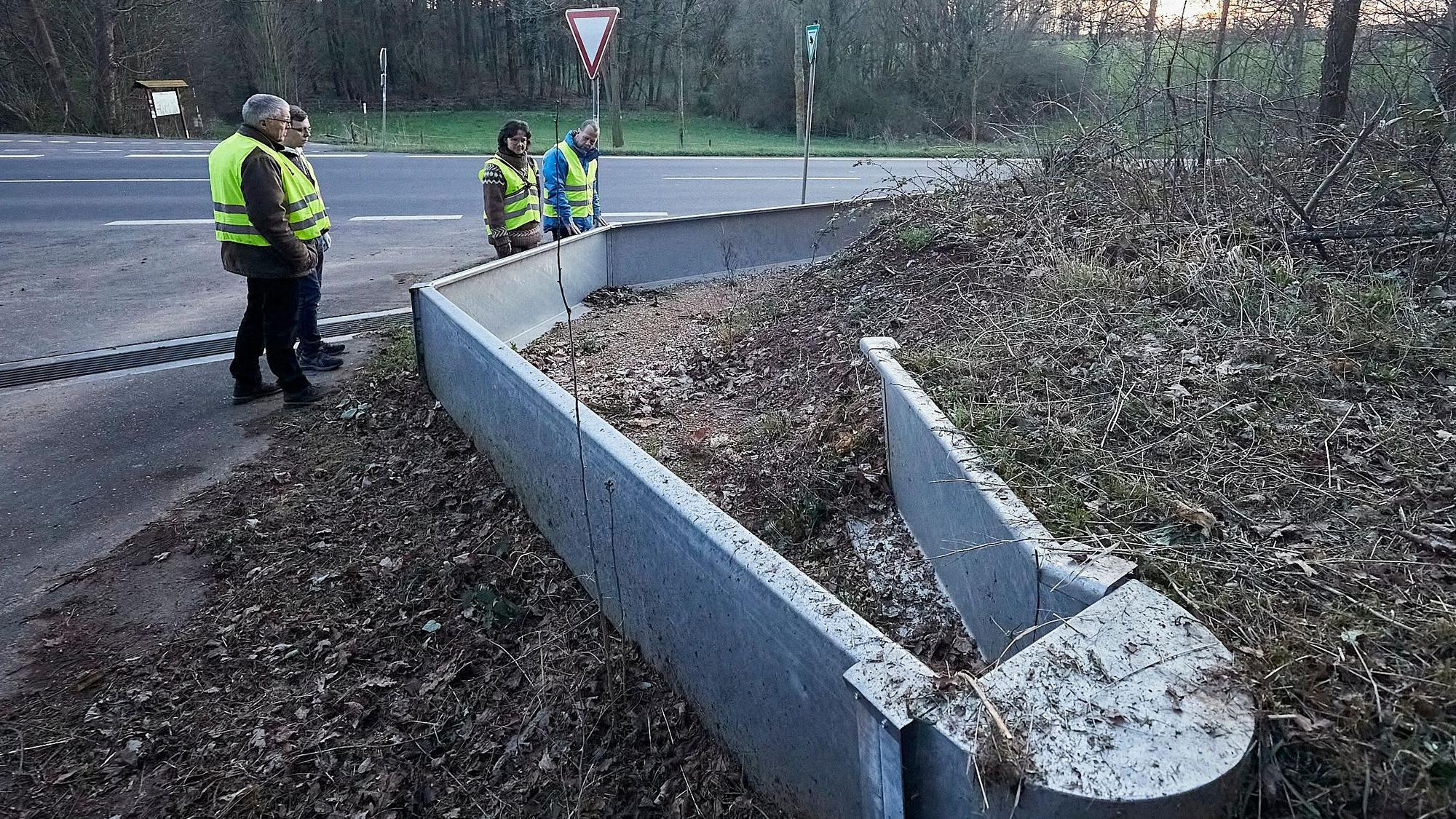 Die Leitanlage bei Eicks bildet eine für Amphibien unüberwindbare Barriere zur Straße und lotst sie in Tunnel.