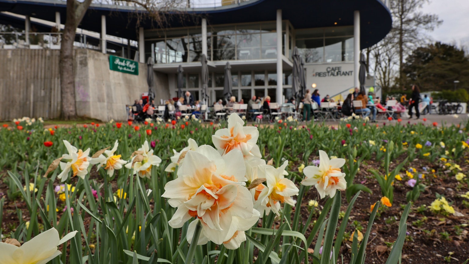 Das Café im Rheinpark.