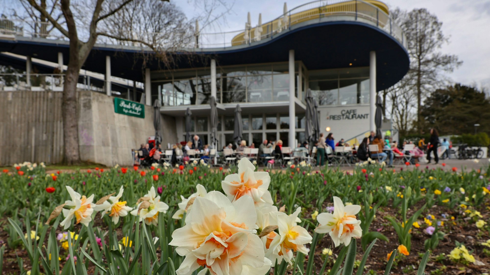 Das Café im Rheinpark.