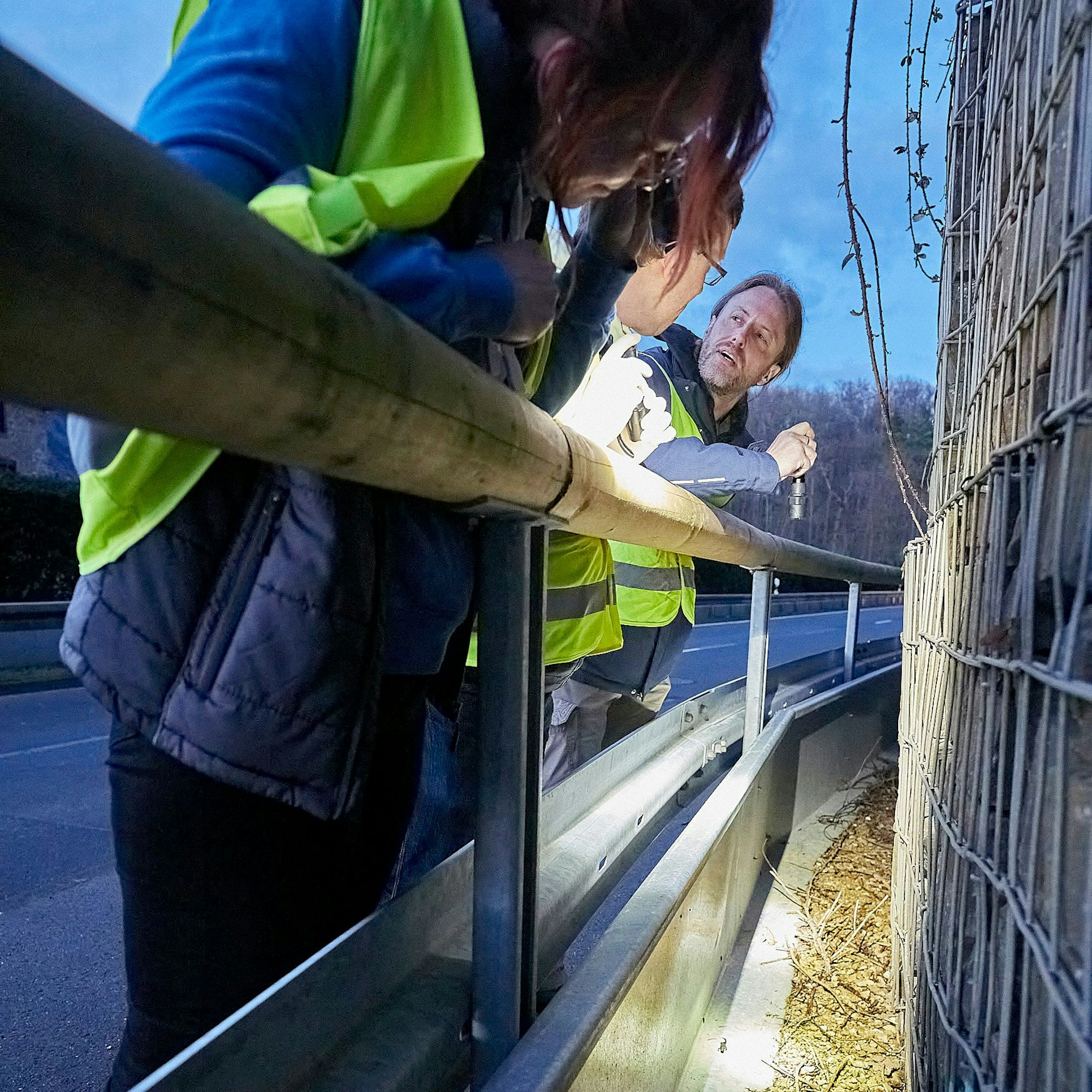 Helfer inspizieren einen Amphibienzaun.