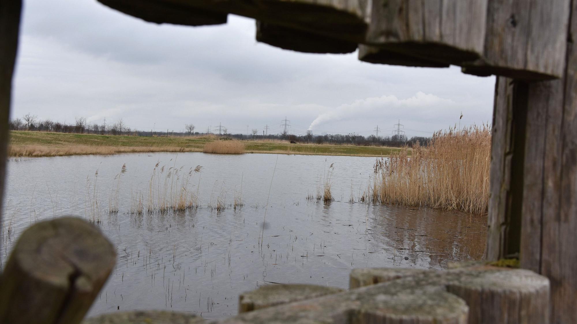 Die Beobachtungspalisade am Watvogelteich ist Teil unserer Rätselwanderung.