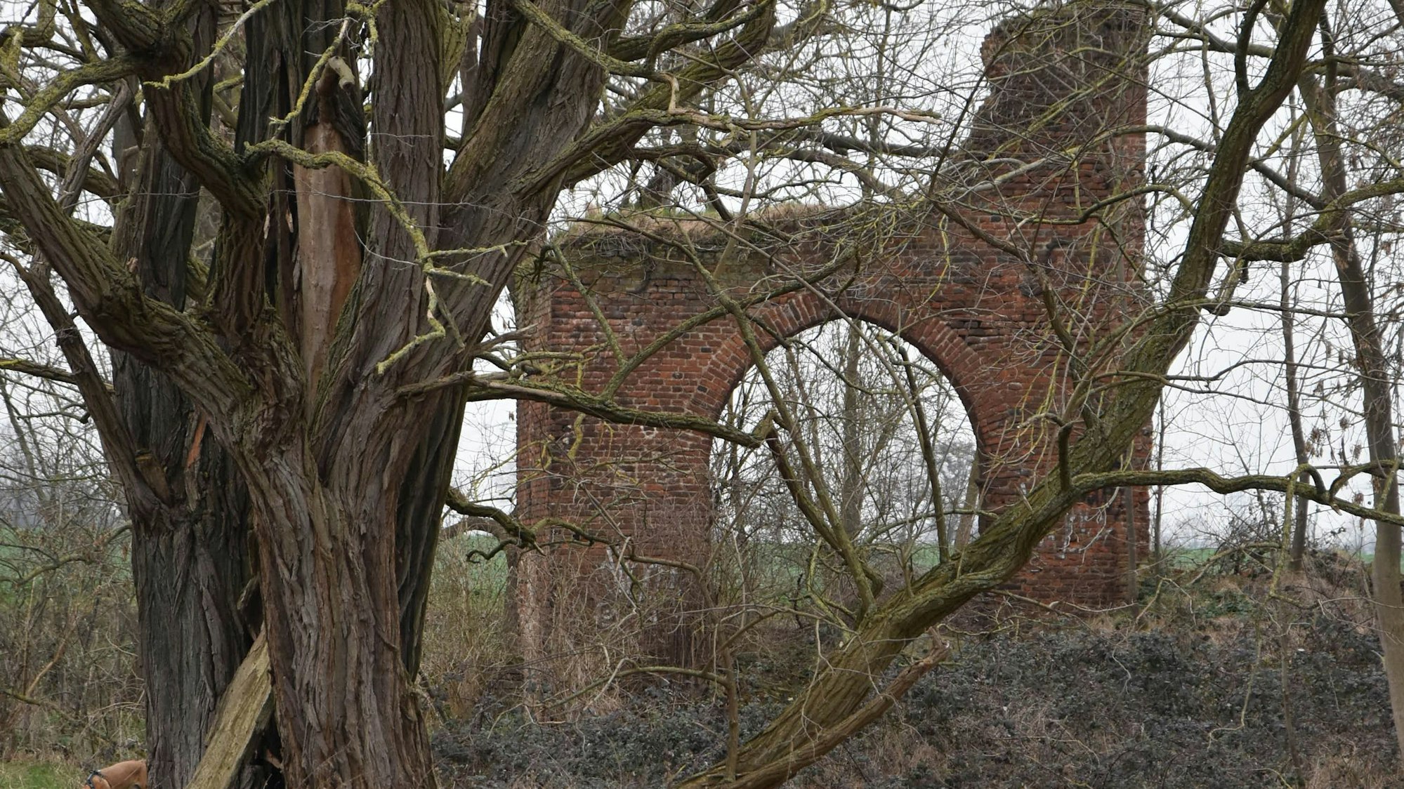 Der nicht zugängliche Torbogen der 1945 abgebrochenen Ritterburg Haus Laach gehört zu unserer Rätselwanderung (Bild 6).