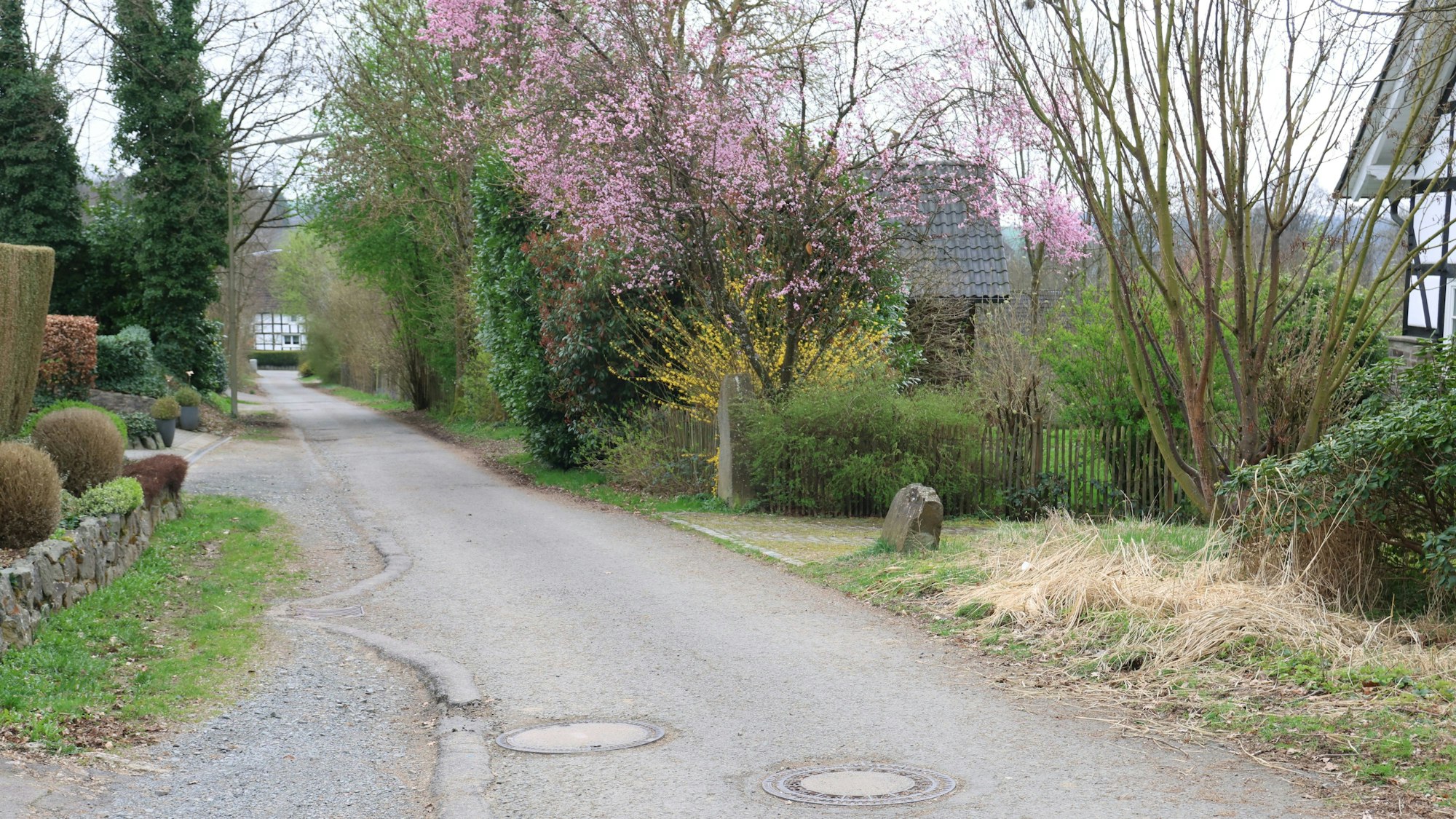 Blick in die Straße Im Drieschgarten in Reichshof-Heischeid.