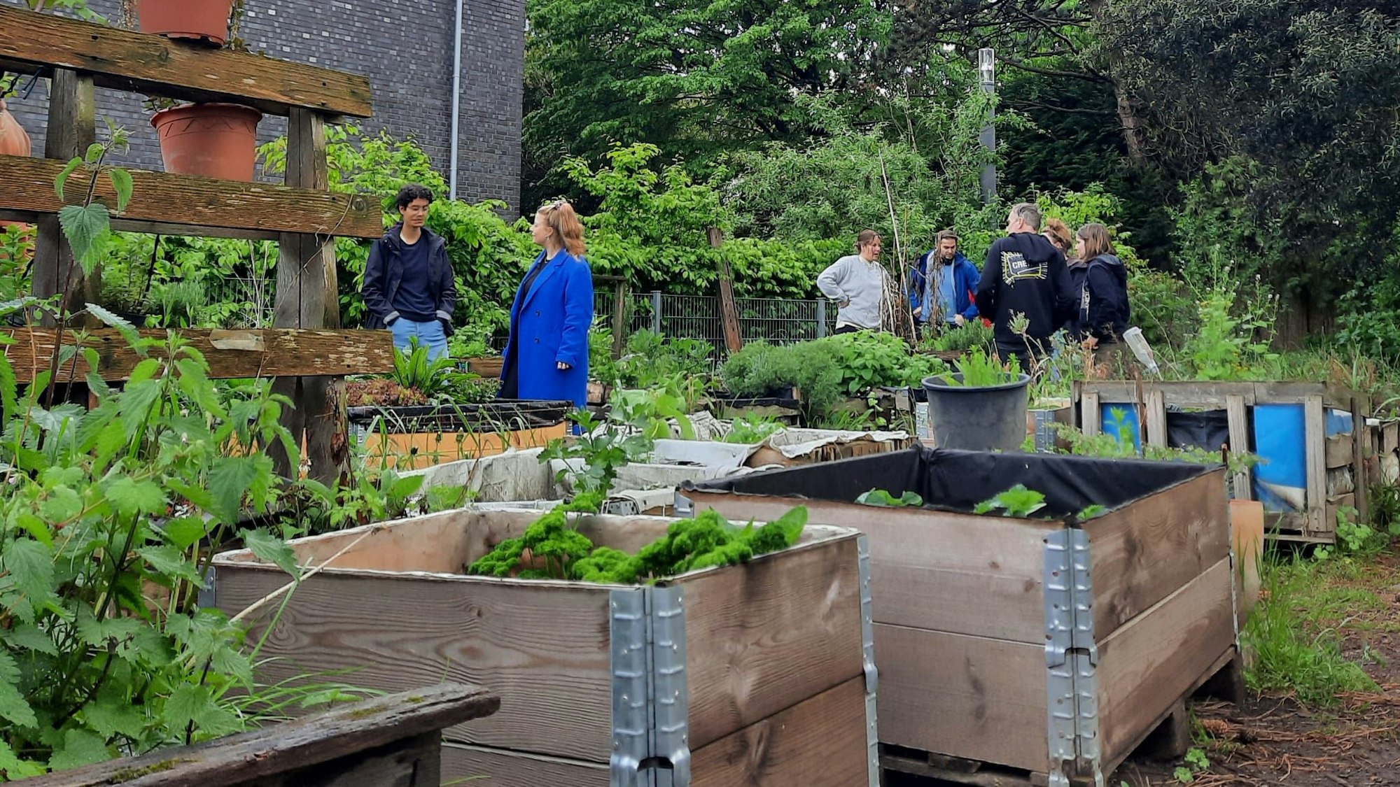 Hochbbeete im Campusgarten der Uni Köln
