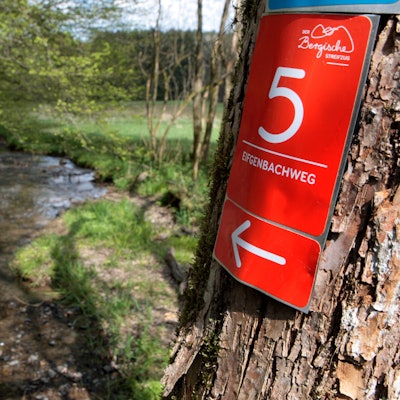 Die Wegemarkierung des Eifgenbachwegs prangt an einem Baum neben dem Eifgenbach bei Wermelskirchen-Dabringhausen.