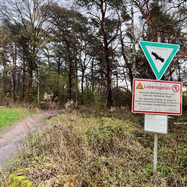 Ein Schild mit dem Hinweis „Lebensgefahr“ in der Wahner Heide weist darauf hin, dass Flächen außerhalb der markierten Wege nicht betreten werden dürfen. Im Hintergrund ist ein Wald zu sehen.